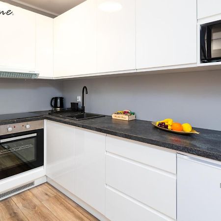 Wonder Home - Apartamenty W Sercu Karpacza, Blisko Deptaka I Terenow Zielonych エクステリア 写真